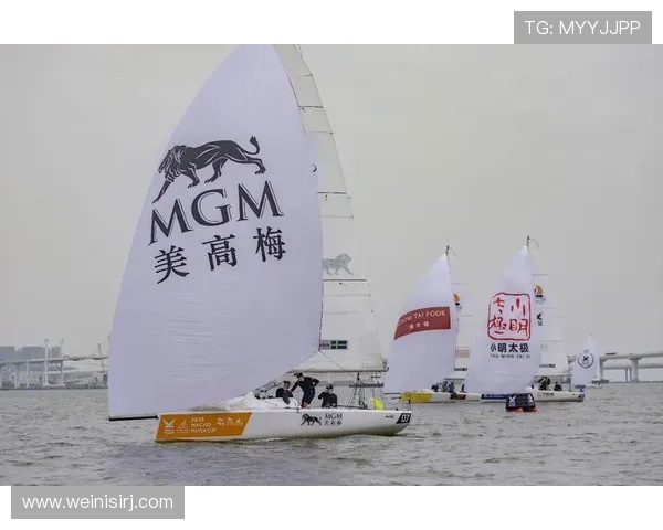 深入分析澳门美高梅和美国美高梅的品牌背景、设施特色及服务差异，满足不同用户的需求